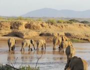 Samburu National Reserve.JPG